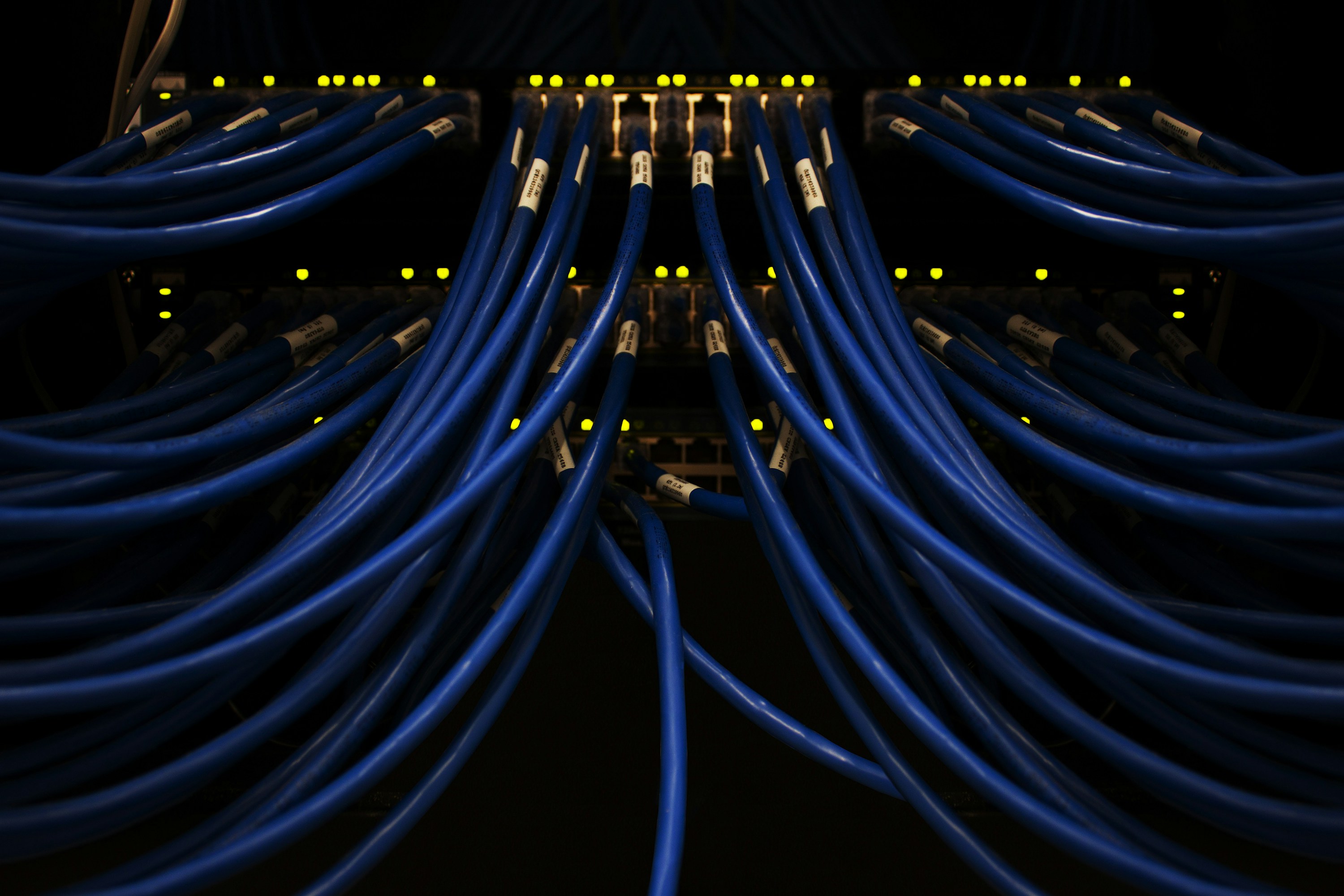 Close-up of blue network cables in a data facility